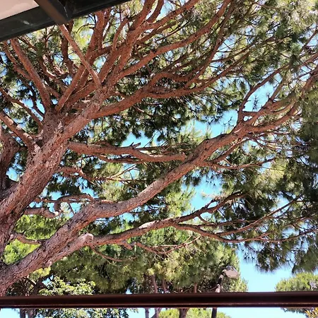 Lägenhet A Due Passi Dal Mare Cervia