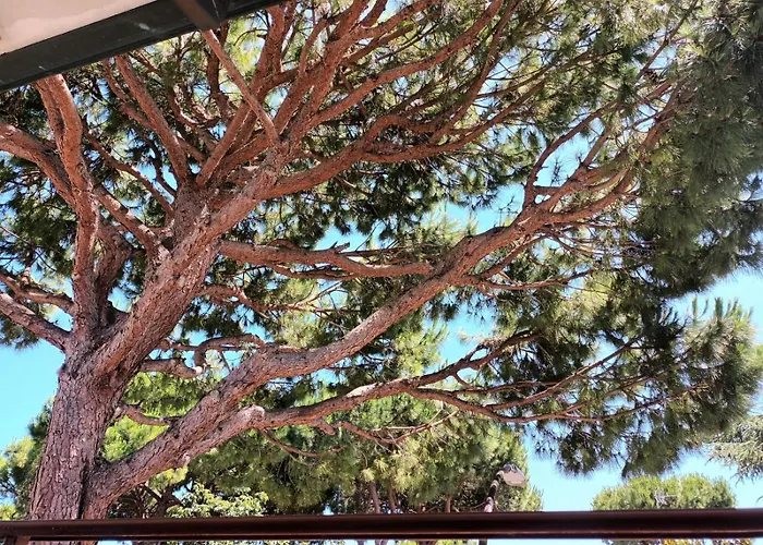 Lägenhet A Due Passi Dal Mare Cervia