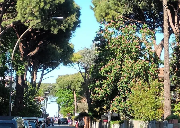 Lägenhet A Due Passi Dal Mare